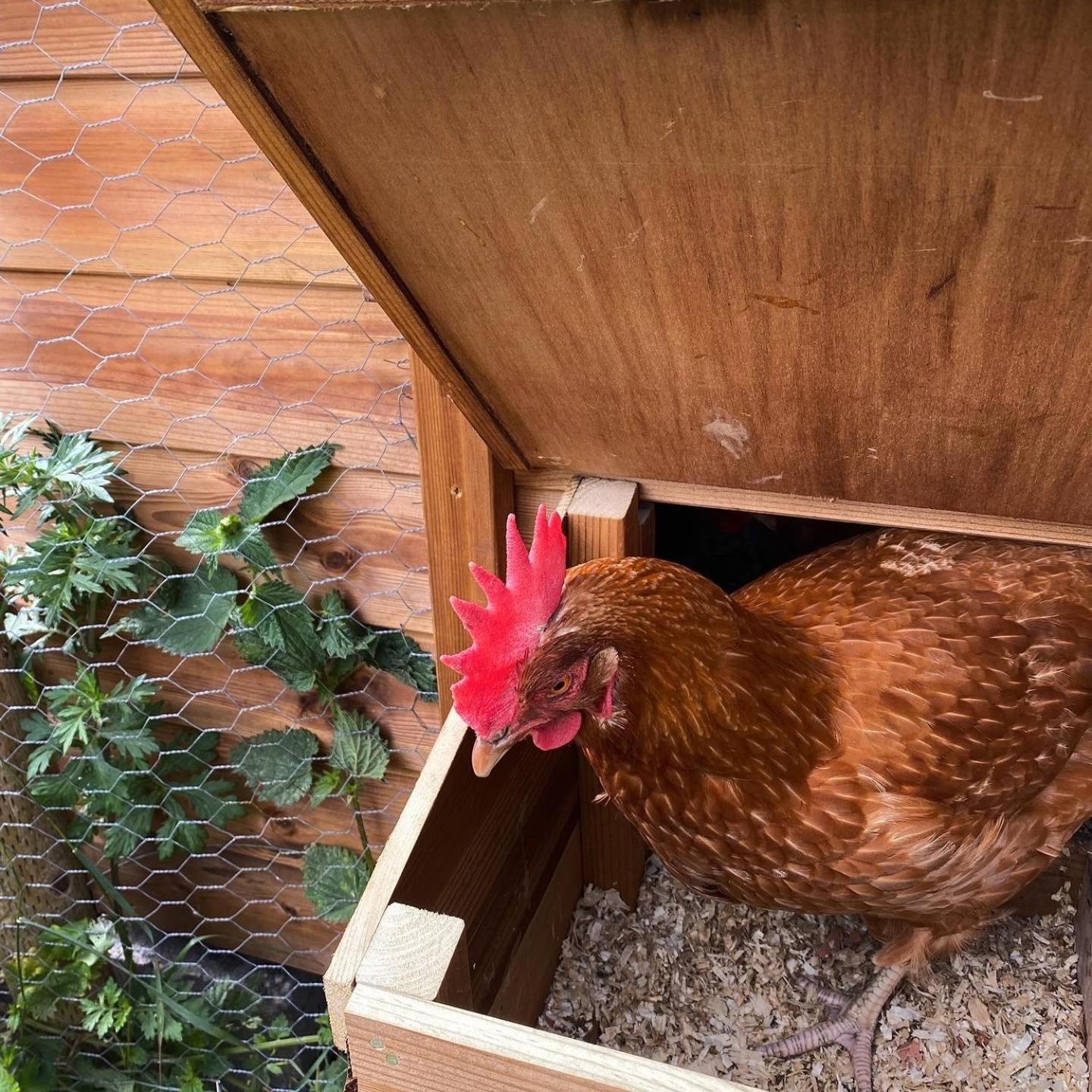Riding Farm Cottages 盖茨黑德 外观 照片