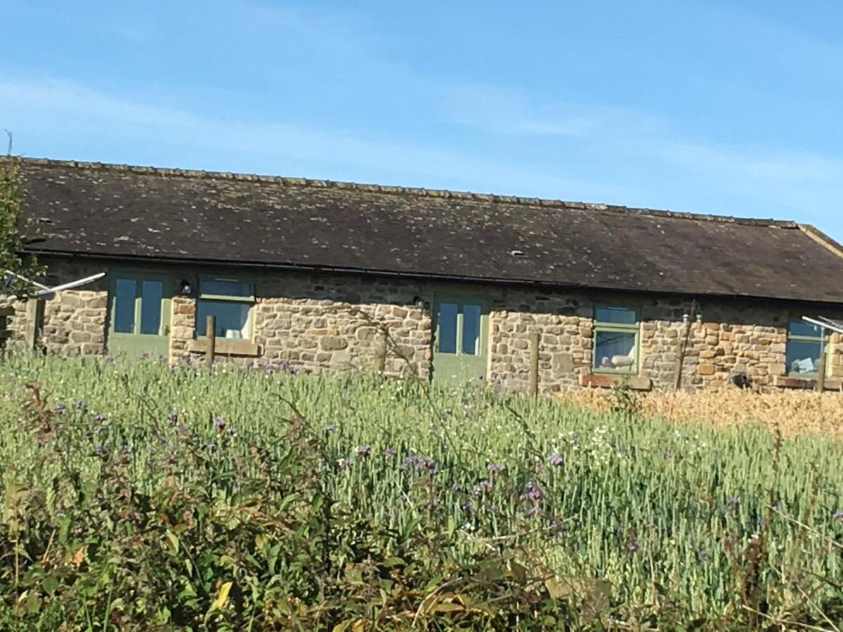 Riding Farm Cottages 盖茨黑德 外观 照片